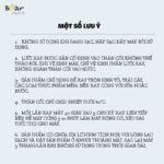 Máy xay sinh tố cầm tay Bear 350ml BL-B35V1 (Bản Quốc Tế) - Ảnh 13