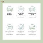 Bộ bếp điện đôi đa năng Bear SB-BD02N kèm nồi chảo - Ảnh 2