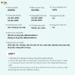 Bộ bếp điện đôi đa năng Bear SB-BD02N kèm nồi chảo - Ảnh 6