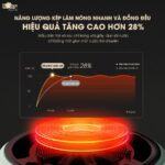 Bếp từ Bear SB-BT21W 1 bếp (Bản Quốc Tế) - Ảnh 4