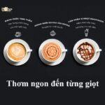 Máy pha cà phê Bear CF-B02V1 (Bản Quốc Tế) - Ảnh 11