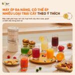 Máy vắt cam Bear ZZJ-F45A5 (Bản Quốc Tế) - Ảnh 8