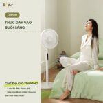 Quạt cây Bear điều khiển từ xa DFS-D47F2 (Nội địa Trung) - Ảnh 12