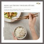 Bộ đũa gỗ thủ công Bear cao cấp CX-E0103 - Ảnh 10