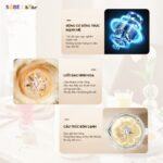 Máy làm sữa hạt Bear 1L SB-SH09Q (Bản Quốc Tế) - Ảnh 6