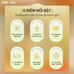 Máy ép chậm Bear SJ-4H01T (Bản Quốc Tế) - Ảnh 2