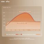 Máy hâm sữa tiệt trùng Bear WW-4H12M (Bản Quốc Tế) - Ảnh 15