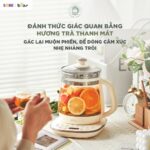 Máy pha trà Bear 1.5L HK-5H15L96 (Bản Quốc Tế) - Ảnh 11