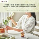 Máy pha trà Bear 1.5L HK-5H15L96 (Bản Quốc Tế) - Ảnh 14