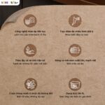 Máy trộn bột Bear 5L SM-5H50Z68 (Bản Quốc Tế) - Ảnh 3