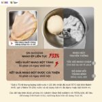 Máy trộn bột Bear 5L SM-5H50Z68 (Bản Quốc Tế) - Ảnh 6