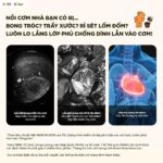 Nồi cơm điện Bear 1.2L RC-5H30O12 (Bản Quốc Tế) - Ảnh 8