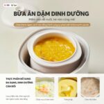 Nồi nấu chậm Bear 0.8L DDZ-A08T8 (Bản Quốc Tế) - Ảnh 10