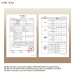 Nồi nấu chậm Bear 2.5L SC-5H25M34 (Bản Quốc Tế) - Ảnh 18