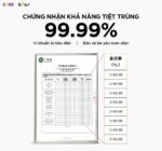 Máy đun nước và hâm sữa tiệt trùng Bear WW-5H12V78 (Bản Quốc Tế) - Ảnh 13