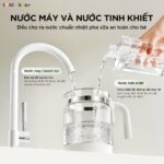 Máy đun nước và hâm sữa tiệt trùng Bear WW-5H12V78 (Bản Quốc Tế) - Ảnh 18