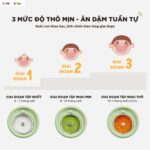 Máy xay ăn dặm 0.35 lít Bear BFM-045KN (Bản Quốc Tế) - Ảnh 4