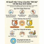 Cách hấp trứng lòng đào với nồi ECK-125NR