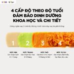 Máy xay ăn dặm 0.3L Bear BFM-025JM (Bản Quốc Tế) - Ảnh 7