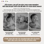 Máy xay ăn dặm 0.3L Bear BFM-025JM (Bản Quốc Tế) - Ảnh 4